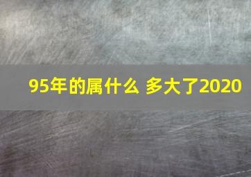 95年的属什么 多大了2020